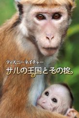 ディズニーネイチャー　サルの王国とその掟