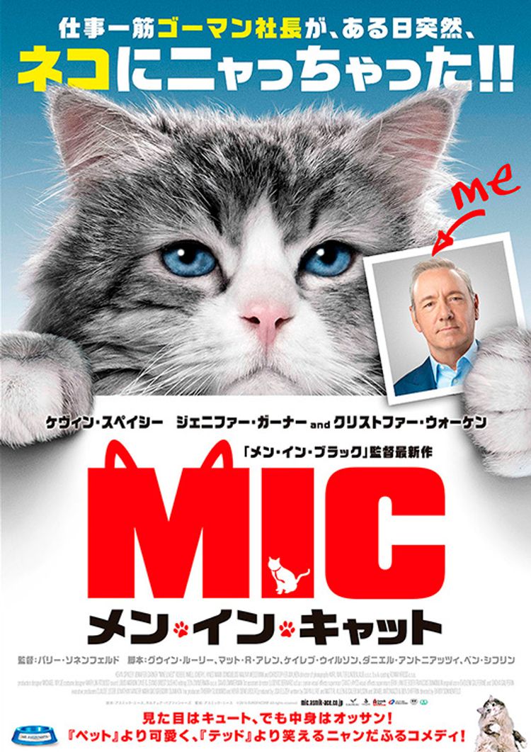 メン・イン・キャット ポスター画像