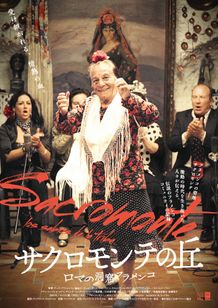 サクロモンテの丘〜ロマの洞窟フラメンコ