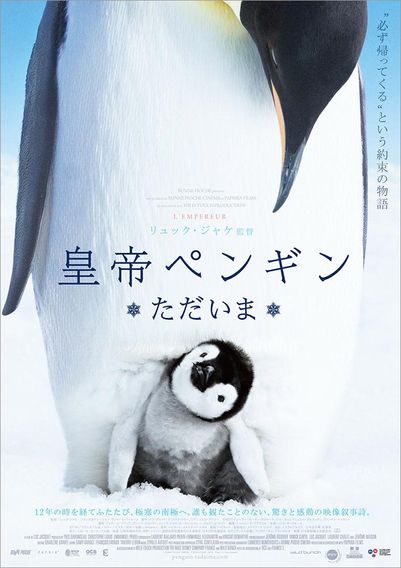 皇帝ペンギン ただいま