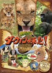 劇場版 ダーウィンが来た!アフリカ新伝説