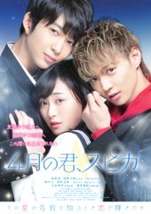 4月の君、スピカ。