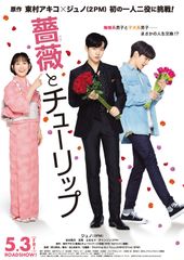 薔薇とチューリップ