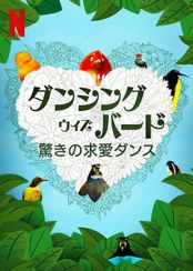 ダンシング・ウィズ・バード 驚きの求愛ダンス