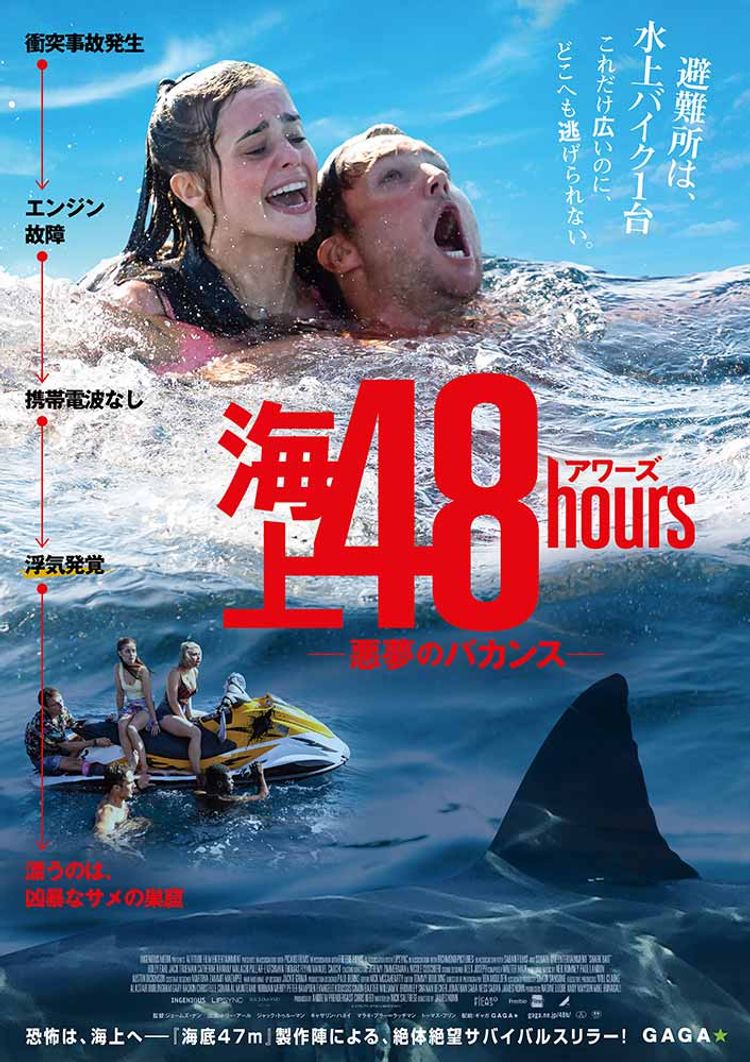 海上48hours ―悪夢のバカンス― ポスター画像