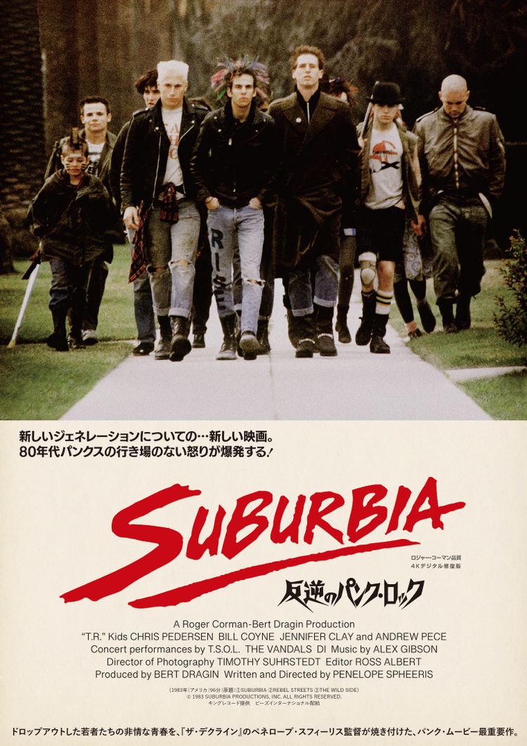反逆のパンク・ロック ポスター画像