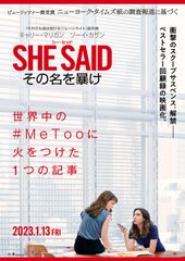SHE SAID/シー・セッド その名を暴け
