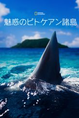 魅惑のピトケアン諸島