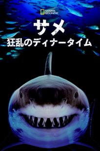 サメ：狂乱のディナータイム