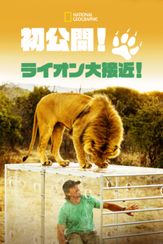 初公開！ライオン大接近！