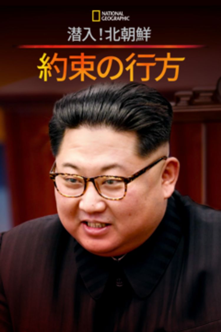 潜入！北朝鮮：約束の行方 ポスター画像