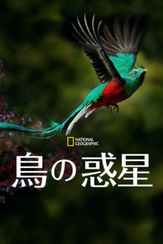 鳥の惑星