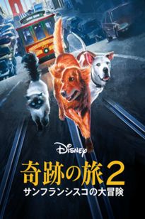 奇跡の旅2　サンフランシスコの大冒険　吹替版VHS 奇跡の旅2サンフランシスコの大冒険吹替版VHS