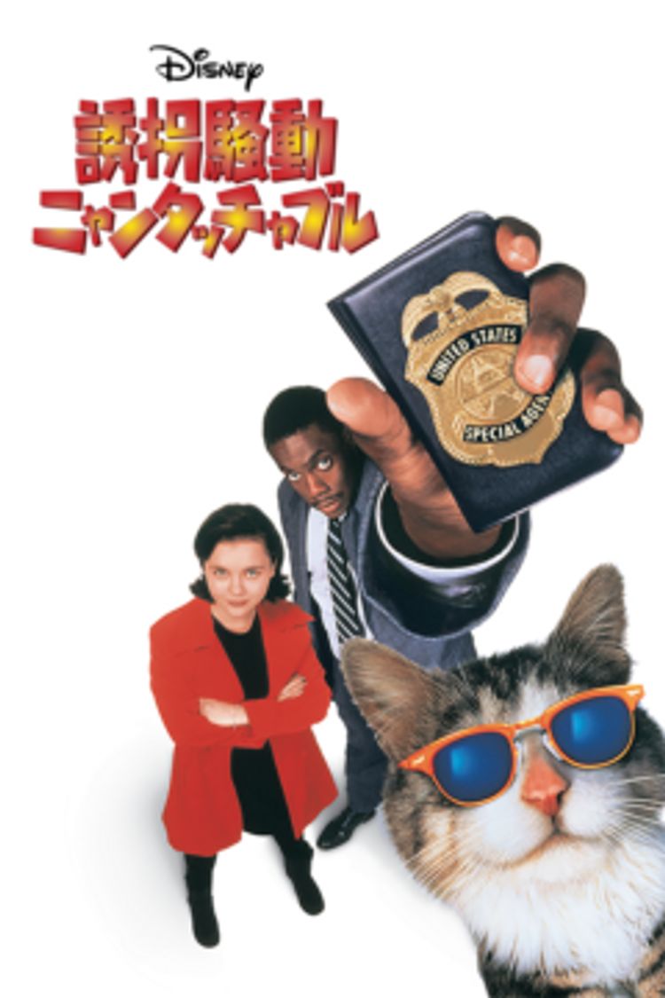 誘拐騒動 ニャンタッチャブル ポスター画像