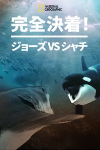 完全決着！ジョーズvsシャチ