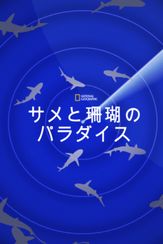 サメと珊瑚のパラダイス