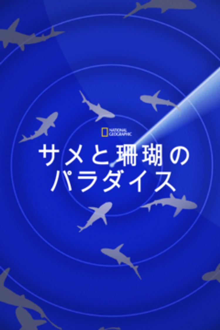 サメと珊瑚のパラダイス ポスター画像