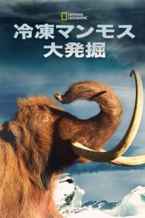 冷凍マンモス大発掘