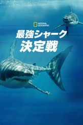 最強シャーク決定戦