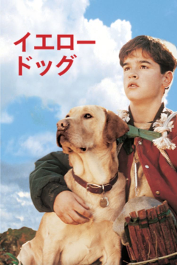 イエロードッグ ポスター画像