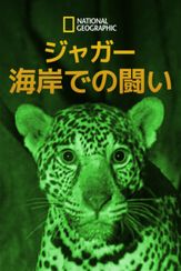 ジャガー：海岸での闘い