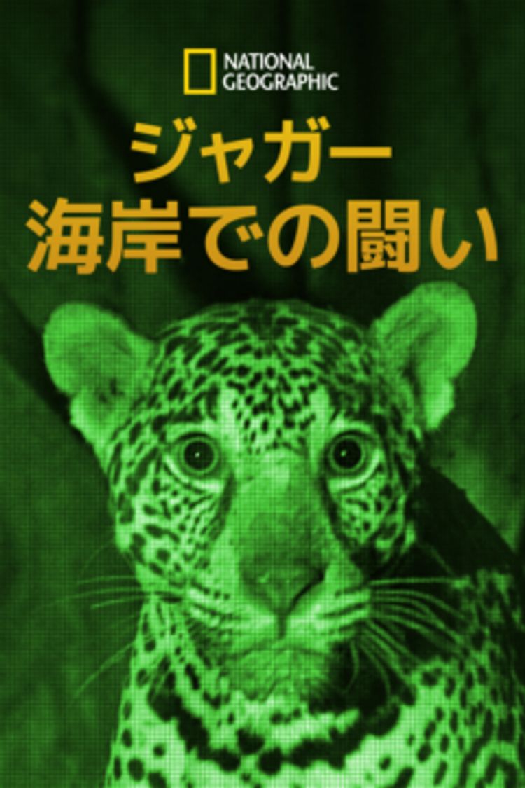 ジャガー：海岸での闘い ポスター画像