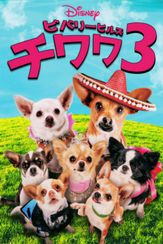 ビバリーヒルズ・チワワ3