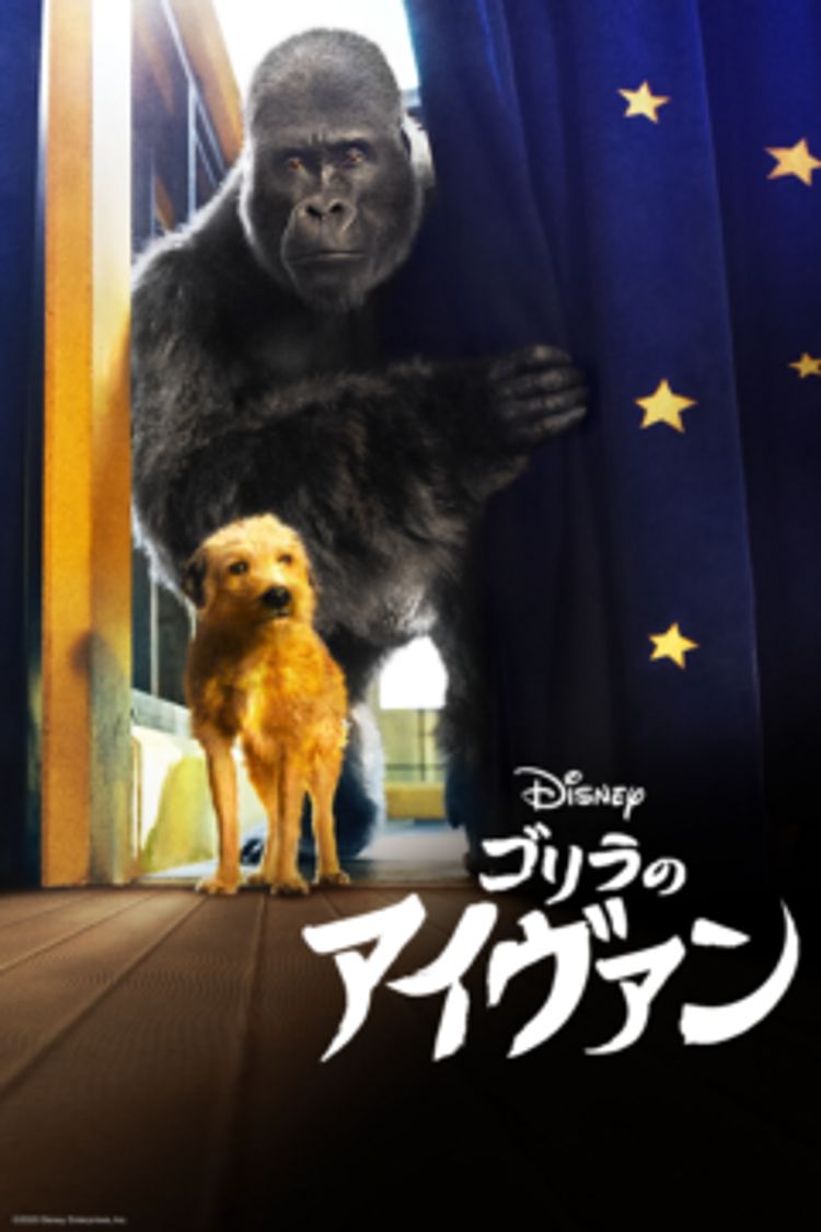 ゴリラのアイヴァン ポスター画像