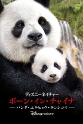 ディズニーネイチャー/ボーン・イン・チャイナ - パンダ・ユキヒョウ・キンシコウ -