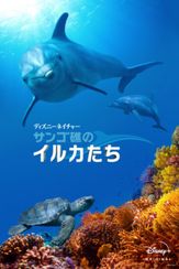 ディズニーネイチャー/サンゴ礁のイルカたち