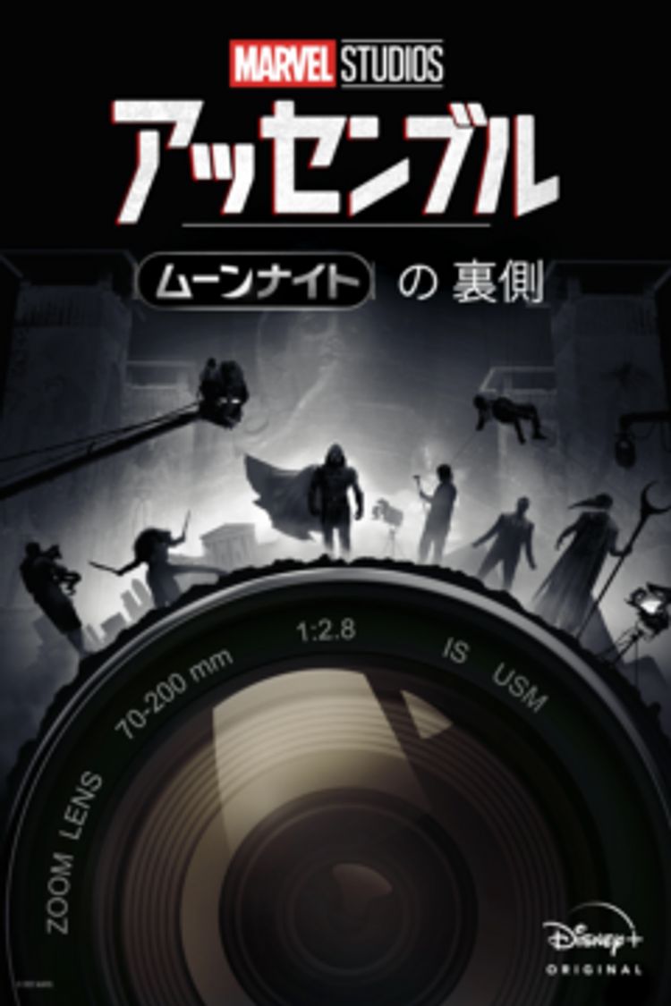 ムーンナイトの裏側 ポスター画像