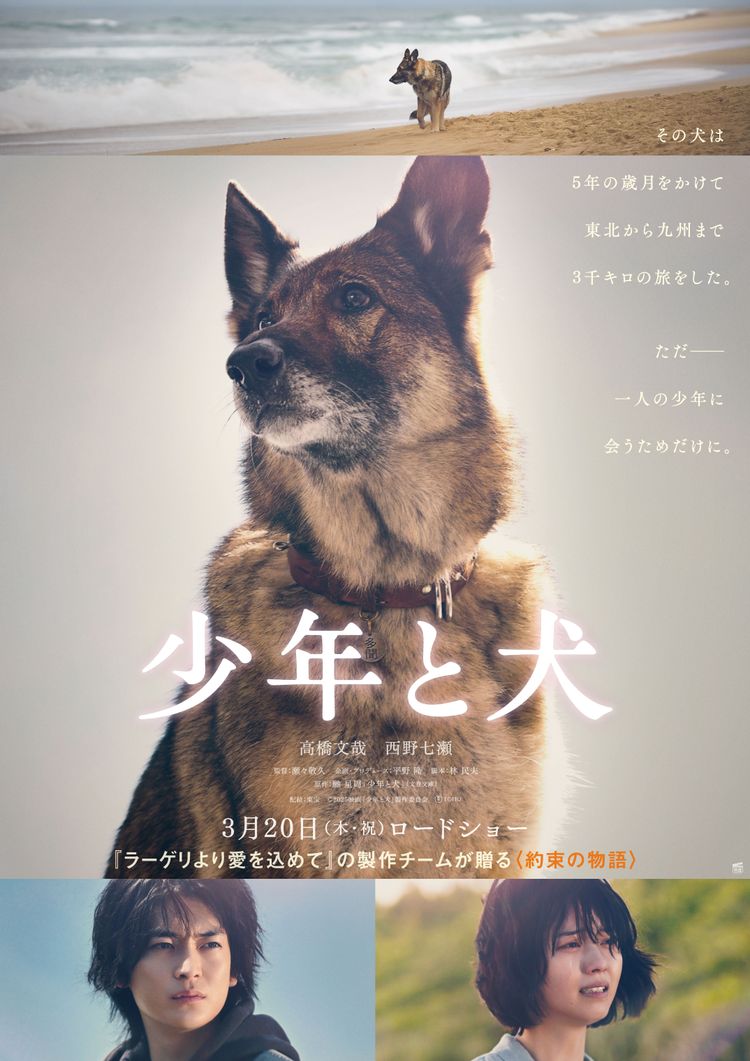 少年と犬 ポスター画像