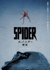 スパイダー／増殖