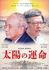 太陽(ティダ)の運命