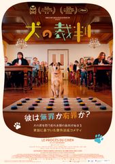 犬の裁判