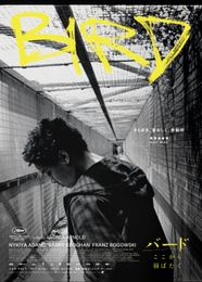 バード　ここから羽ばたく