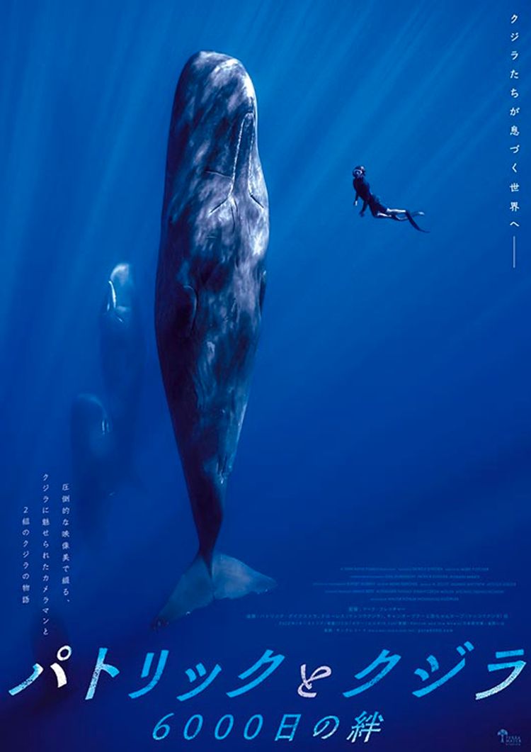 パトリックとクジラ 6000日の絆 ポスター画像
