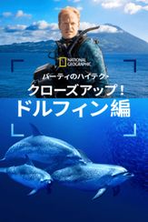 バーティのハイテク・クローズアップ！ドルフィン編