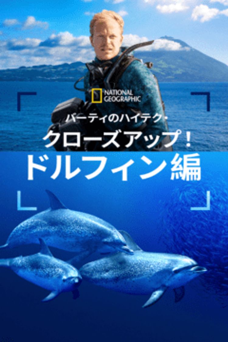 バーティのハイテク・クローズアップ！ドルフィン編 ポスター画像