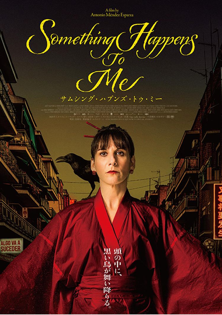 サムシング・ハプンズ・トゥ・ミー ポスター画像