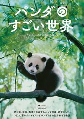 パンダのすごい世界