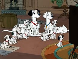 ロッテン・トマトで批評家からの評価が高い“イヌ映画”をチェック！