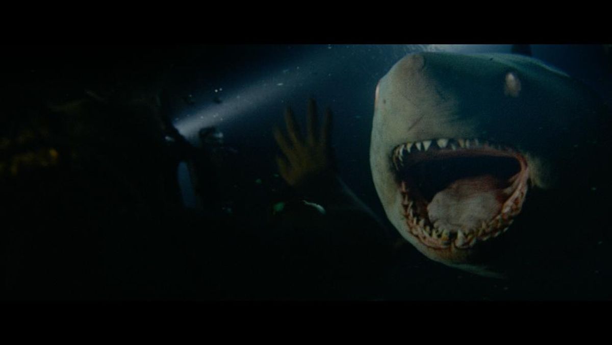 夏と言えば…海！サメ！トンデモな進化を遂げてきた、サメ映画の傑作