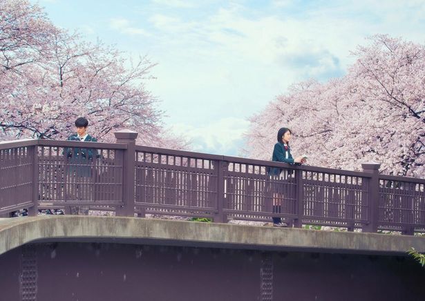 浜辺美波と北村匠海のW主演で贈る感動作