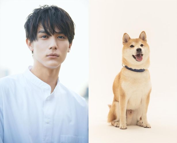 中川大志と劇中でバディとなる犬の“太郎”