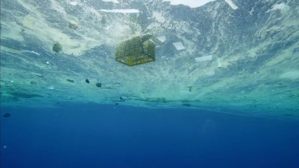 海を漂うプラスチックゴミは、日光にさらされ、風化し、細かなプラスチック片となって海中に蓄積される