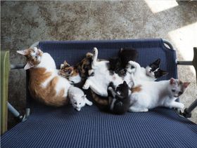 冬の寒さをしのぐため家族で固まって暖を取る