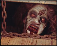 数多くの人気作が生まれた1980年代ホラー。批評家の評価が高い作品は？