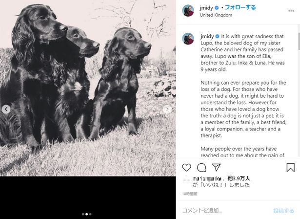 ルポは、ジェームズのメンタルヘルスケアの助けにもなったという愛犬エラの子どもだった