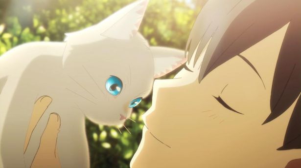 「泣きたい私は猫をかぶる」など声優、花江夏樹の魅力がわかるアニメを紹介！